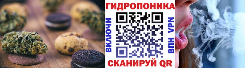 Canna-Cookies марихуана  hydra как зайти  Миньяр 