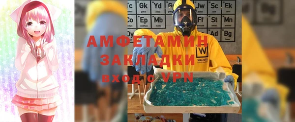 стаф Алзамай
