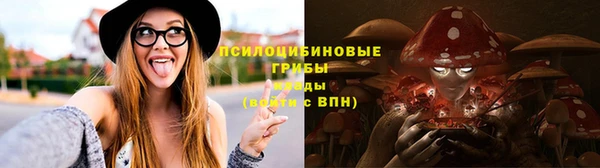 стаф Алзамай