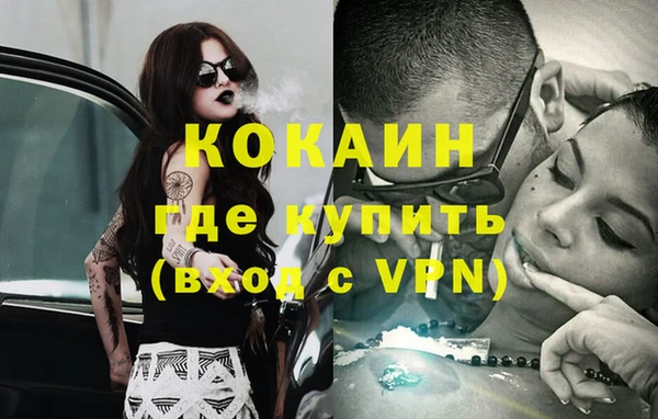 стаф Алзамай
