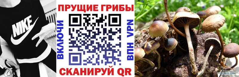 где найти наркотики  Миньяр  Псилоцибиновые грибы MAGIC MUSHROOMS 